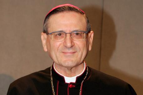 Angelo Amato, Prefect of the Congregation for the Causes of Saints