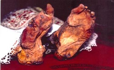 Francis Xavier's Feet