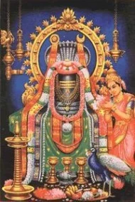 Kapaleeswara Shiva & Devi Karpagambal